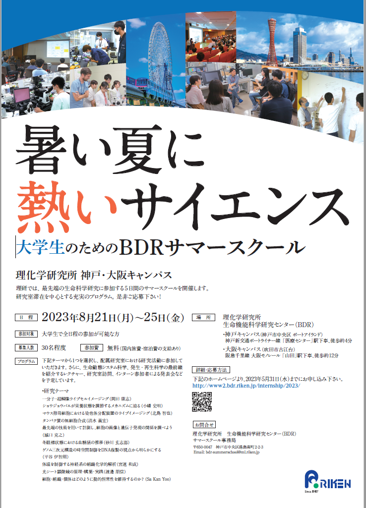 Image of BDRサマースクール参加者募集中